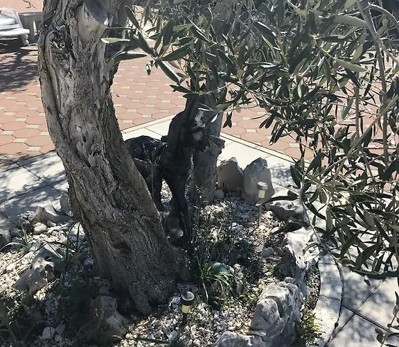 Apartament Casa Dolcevita *